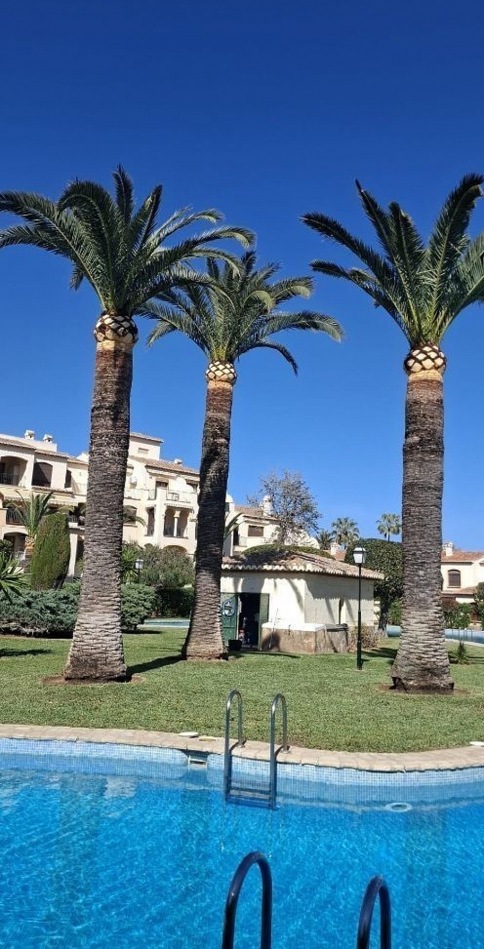 Jardinesmodou