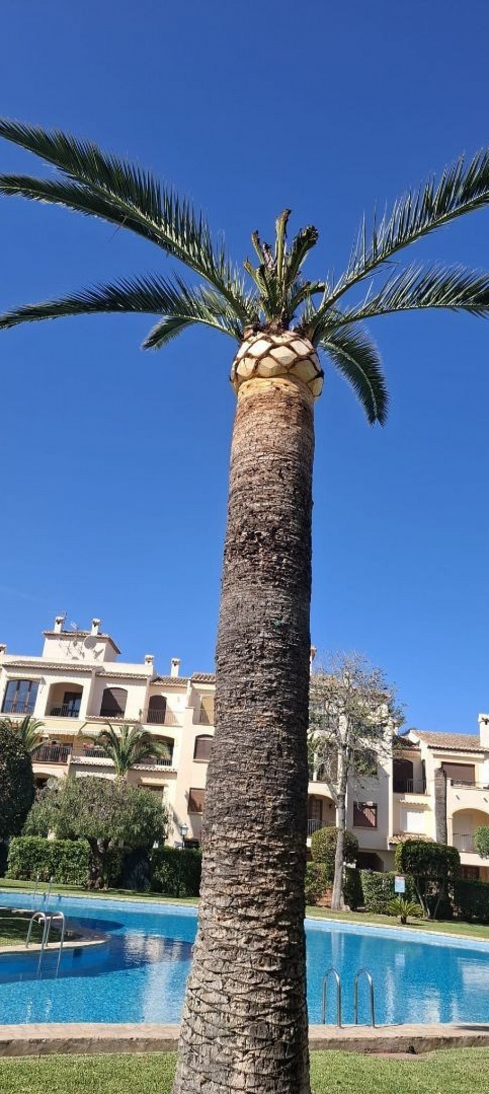 Jardinesmodou