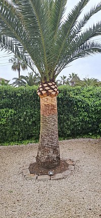 jardines modou we are professional in jardines