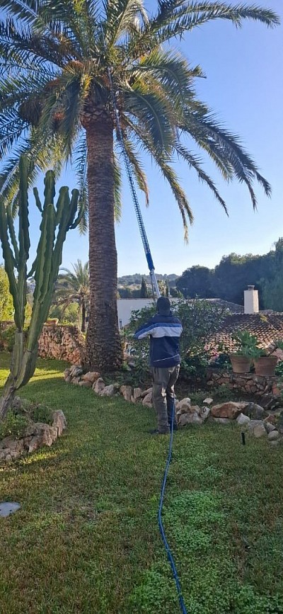 Jardines modou