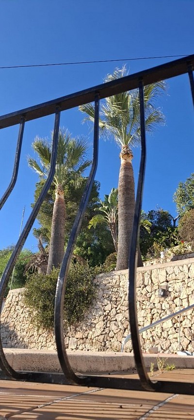 Jardinesmodou